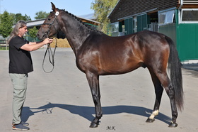 Heffron AB